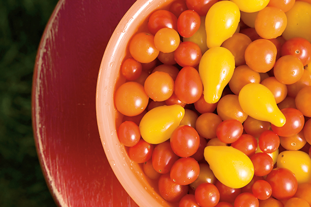 Edibles as art at Confluence event