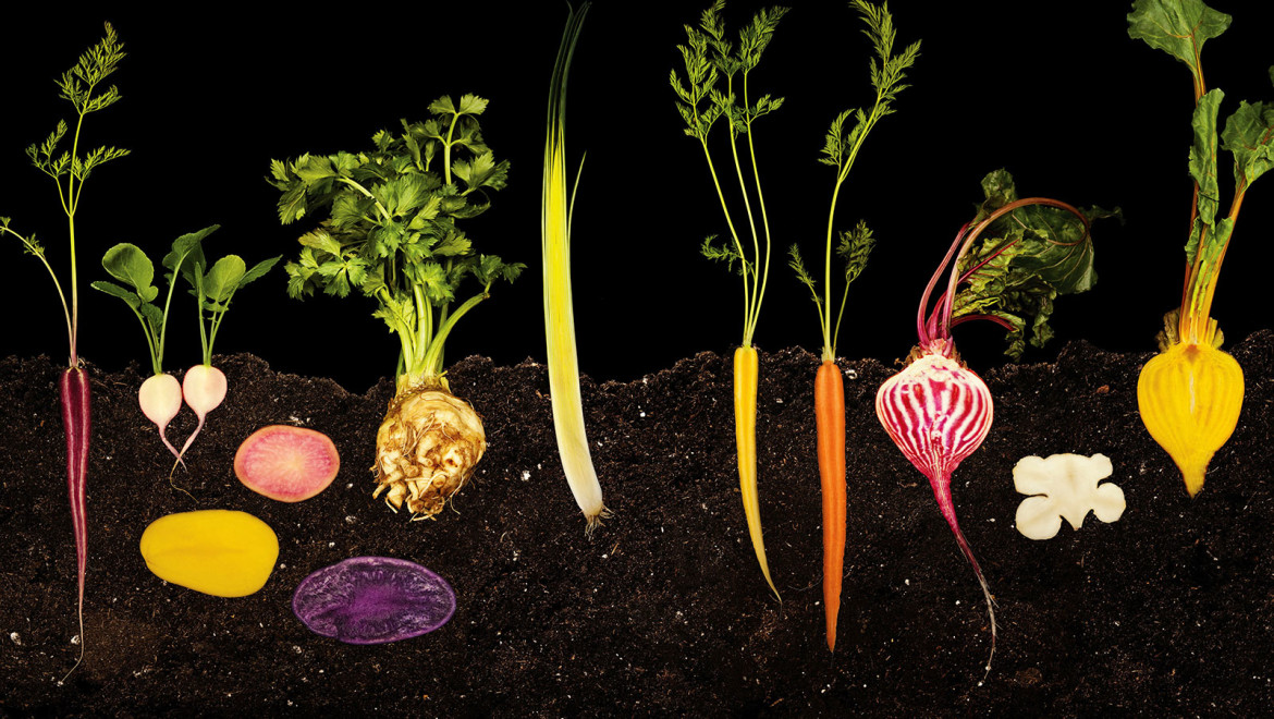 Food Like You Have Never Seen If Before: Photography of Modernist Cuisine