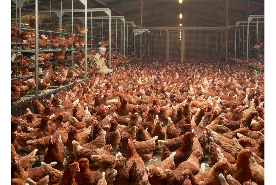 Henk Wildschut photographs the reality behind our daily food