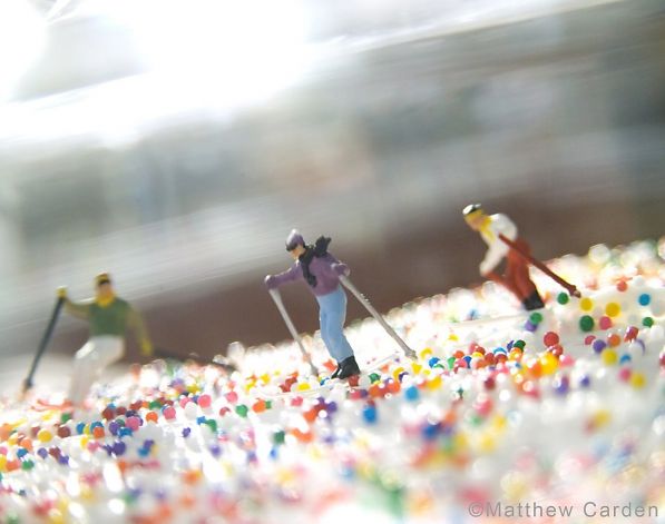 Novato art gallery's main dish is food