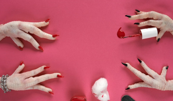 Surreal Food Photos Shows Animal Feet in Whimsical Activities