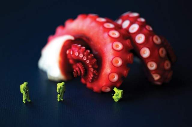 Artist Christopher Boffoli lets the Food Star in Exhibit, Book Photos