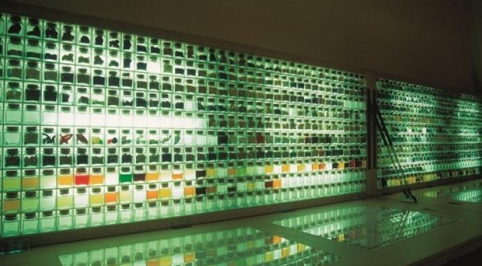 "Bullipedia" Lab to open in Barcelona