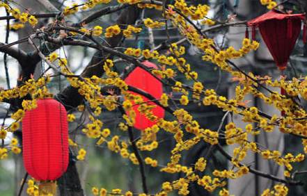 New Name and Domain for Art-idea