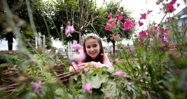 Garden grows interest in medieval Limerick