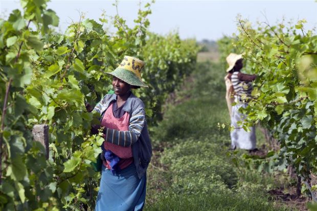 5 unexpected wine tourism destinations