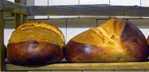 VOJVODINA’S INTANGIBLE CULTURAL HERITAGE – THE LOAF (CIPOVKA) BREAD SMILES AT THE MOON