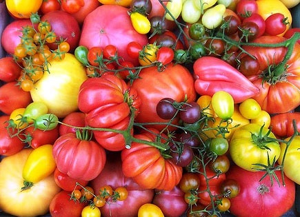 ART OF FOOD: Culture and Food Diversity – Call for Papers!