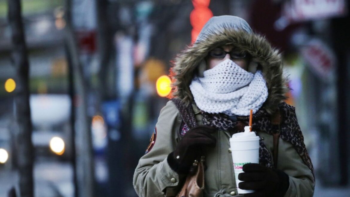 New York Officially Banned Plastic Foam Food Containers