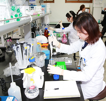 Food Industry Cluster Is Example Of Creative Economy