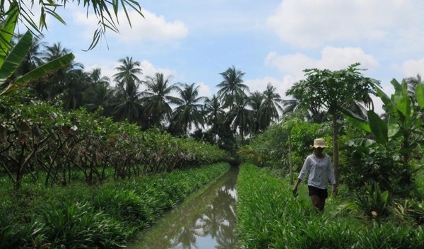 Exploring Culture in Cooking Classes
