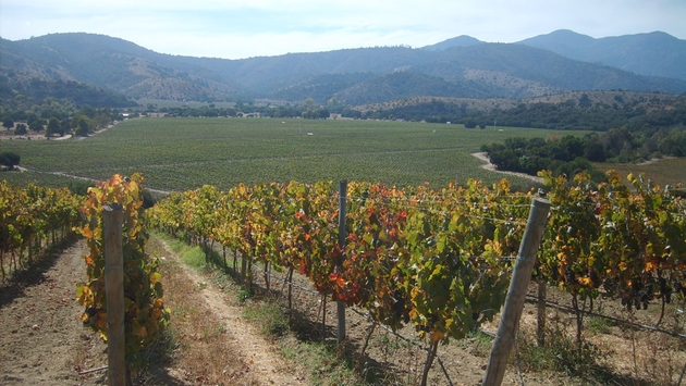 Avanti Augments Its Culinary Options