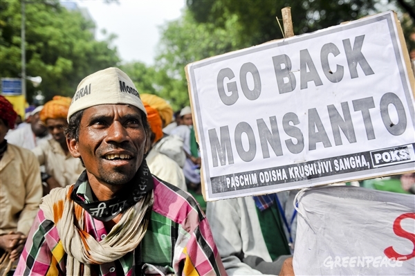 Monsanto's next target: India