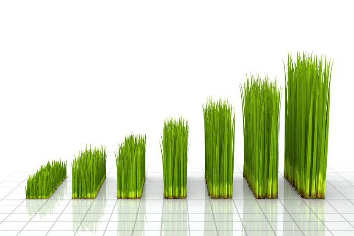 Rising demand in eco-friendly accommodation