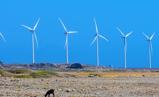 How Innovation and Sustainability transform Tourism