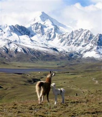 New Campaing Of Bolivia Focusing On The Culture