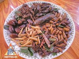 Insects as Food: Potential Hazards and Research Needs