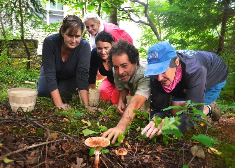 Best Travel Destinations for Food Foraging