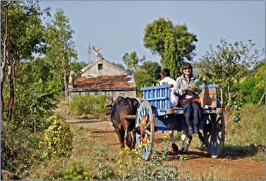 National Pioneers Push For Plastic Roads, Agri Tourism