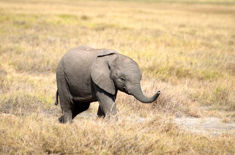 9 Tourist Attractions That Are Literally Dying