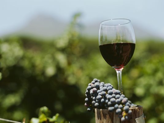 Visits to wineries have increase 40% in six years