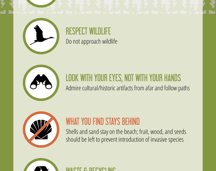 Sustainable Travel Guide:  Make sure your next trip is a green one!