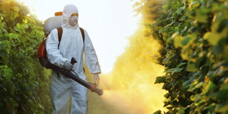Top scientists warn the most commonly used herbicide in the world probably causes cancer!