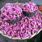 Mapping for the Ark of Taste in Nariño and Chocó, Colombia