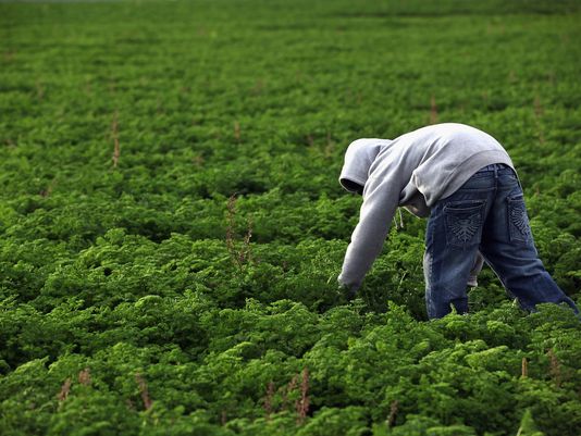 Food rivals energy in need for radical change