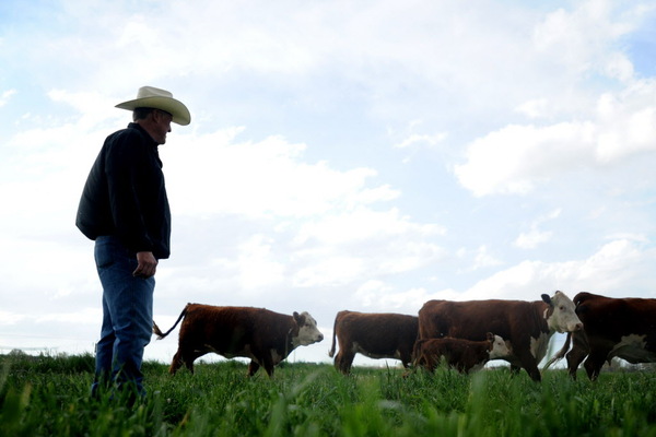Is digital farming the future of food?
