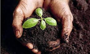 Area native fighting food insecurity in France