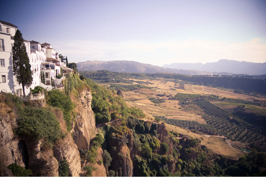 ‘From Bark to Bottle’: First tourism program around the culture of cork