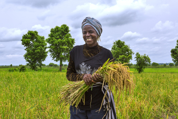 We grow enough food. Getting it in to people’s plates is the problem.