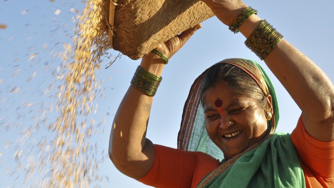 FAO and the Self-Employed Women’s Association Announce Partnership