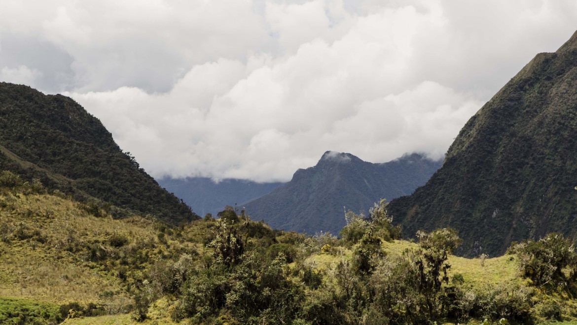 Gastronomy, a way to saving Peru´s biodiversity