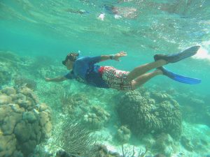 Last-Chance Tourism Creates Paradox For Environmental Tourists