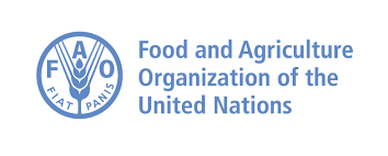 People need affordable food – Food and Agriculture Organisation (FAO)