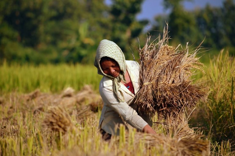 World Food Day: Reaffirm effort to achieve “zero hunger”