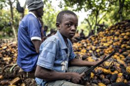 SumOfUs new sign petition : Stop cocoa slavery