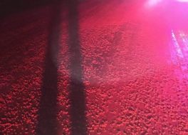 American farmers secretly feed cows defective Skittles