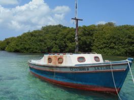 Slow Fish Caribbean: Cooperation, Peace and Sustainability for the Future of Fishing