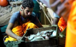 The award-winning flavors of the Southern Aegean