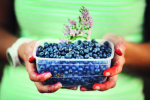 Food is culture – Wild at Palate: Riga-Gauja European Region of Gastronomy 2017