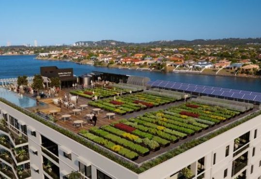 Reclaiming our cities, starting from food