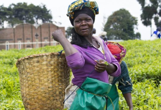 Africa Food Prize opens 2018 nominations