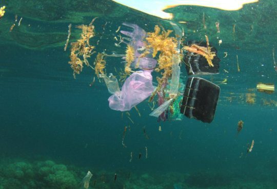 Theresa May vows to eliminate UK’s plastic waste by 2042