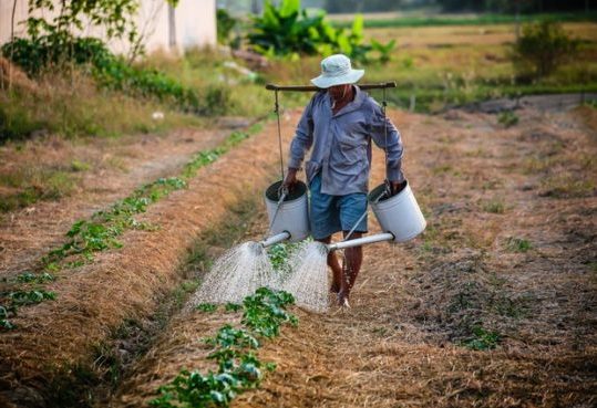 Land grabbing: An urgent issue for indigenous peoples around the world