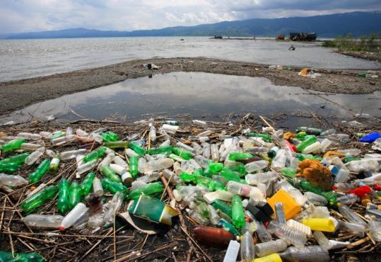 Irish-based researchers confirm plastic pollution in 70% of Atlantic deep-sea fish