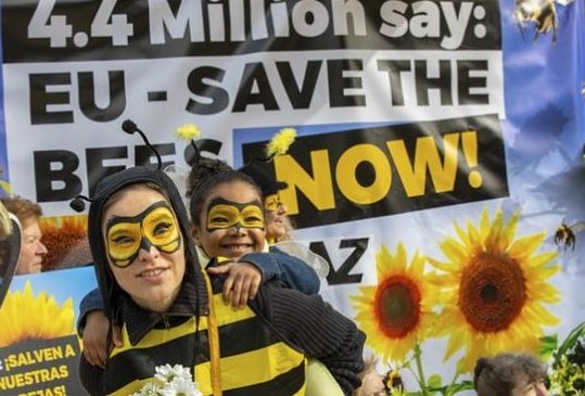 EU agrees total ban on bee-harming pesticides