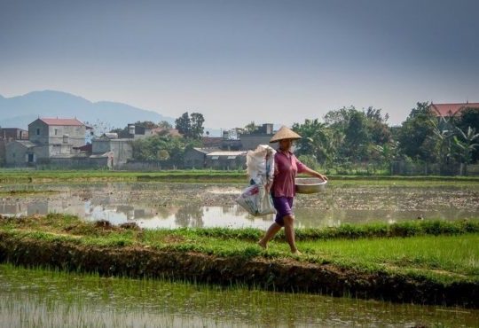 The future of agrifood; making crops that feed themselves?